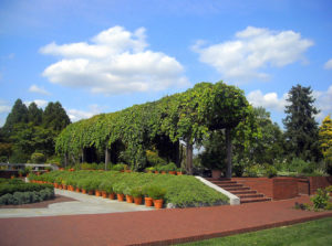 Visit the Beautiful Gardens of Alexandria