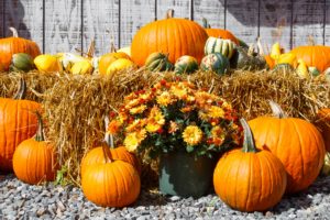 Getaway to Mount Vernon Fall Harvest Festival