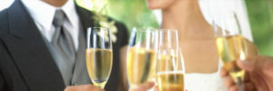 Champagne Toast Wedding Cropped
