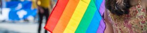 Pride Rainbow Flag (small)