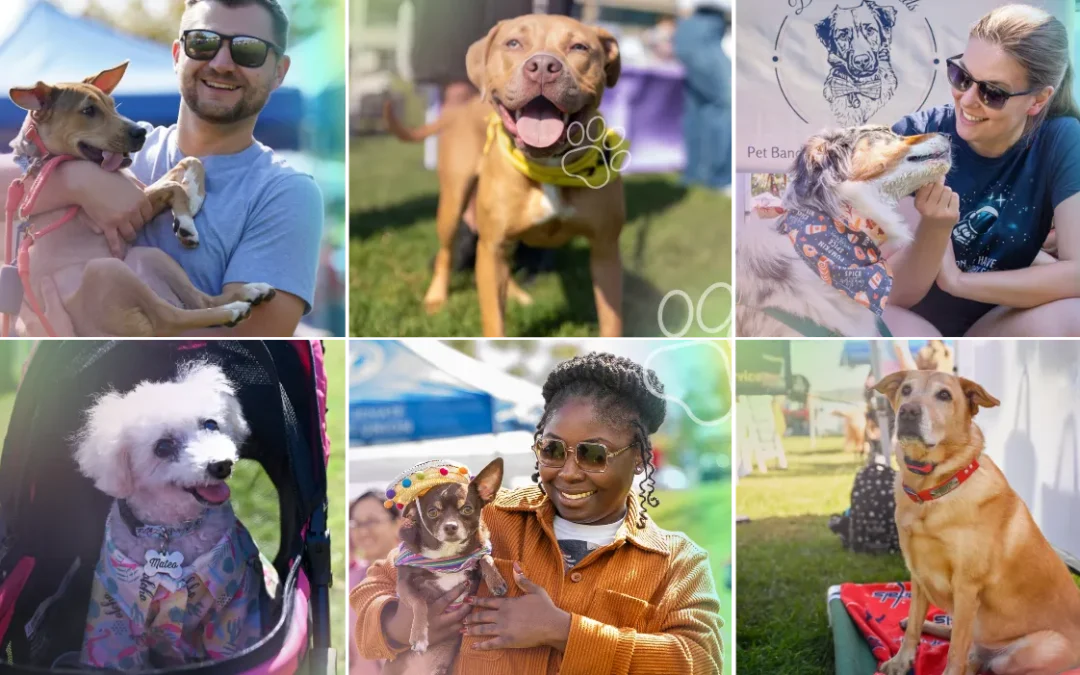 Paws in the Park 2026