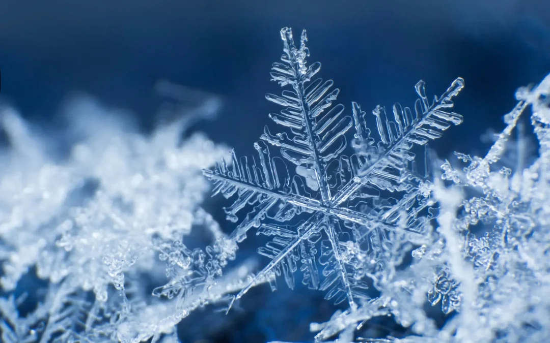 5th Annual Holiday Makers’ Market